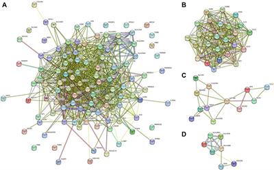 Data-driven analysis to identify prognostic immune-related biomarkers in BRAF mutated cutaneous melanoma microenvironment